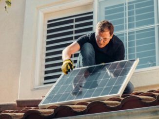 Würzburg startet gebündeltes Förderprogramm für Begrünung und erneuerbare Energien