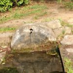 Würzburger Schafbrunnen wird entschlammt um seltene Lebensräume zu sichern