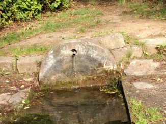 Würzburger Schafbrunnen wird entschlammt um seltene Lebensräume zu sichern