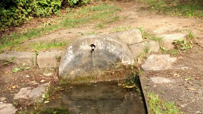 Würzburger Schafbrunnen wird entschlammt um seltene Lebensräume zu sichern